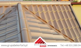 Mycie i malowanie dachu Kargowa, malowanie blachodachówki Kargowa