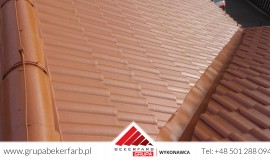 Mycie i malowanie dachówki betonowej PRODACH RAL 8004