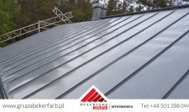 Mycie dachów Suchy Las, Malowanie dachów Suchy Las